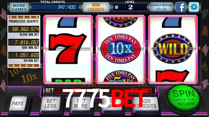 Apostas Esportivas na 7775bet: Um Guia Completo